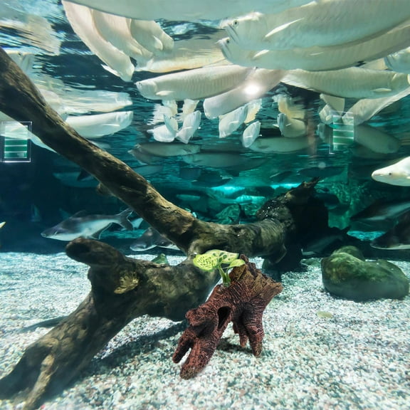 HEMOTON  Aquarium Decorations Landscape Sunken Wood Fish Tank Landscaping Hollow