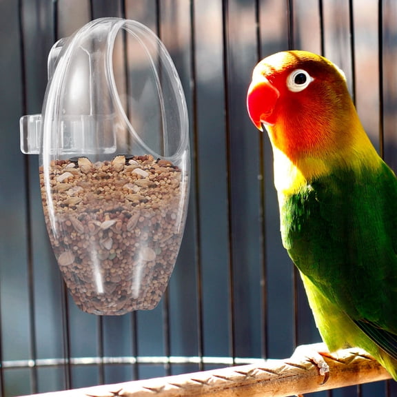HEMOTON Hanging Bird Feeder for Cockatiels, Easy to Install, Perfect for Daily Use and Bird Feeding