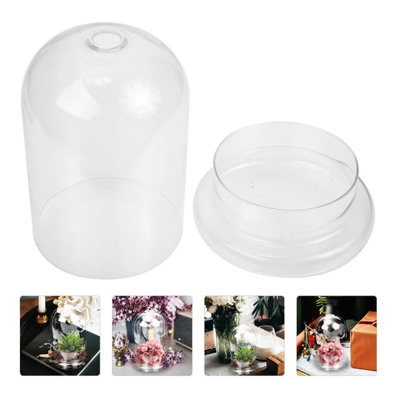 HEMOTON  Glass Cover Preserved Flower Display Clear Mini Vase Teal Centerpiece Table Decorations