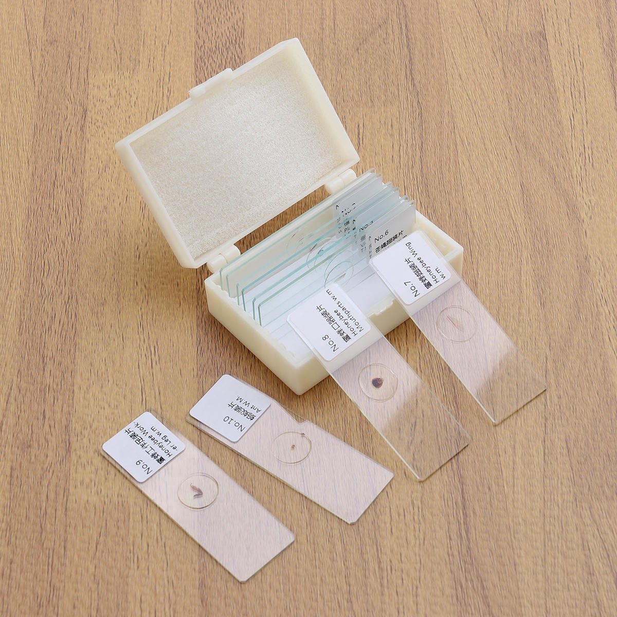 HEMOTON Glass Microscope Slides for Studying Insects Plants and Animals ...