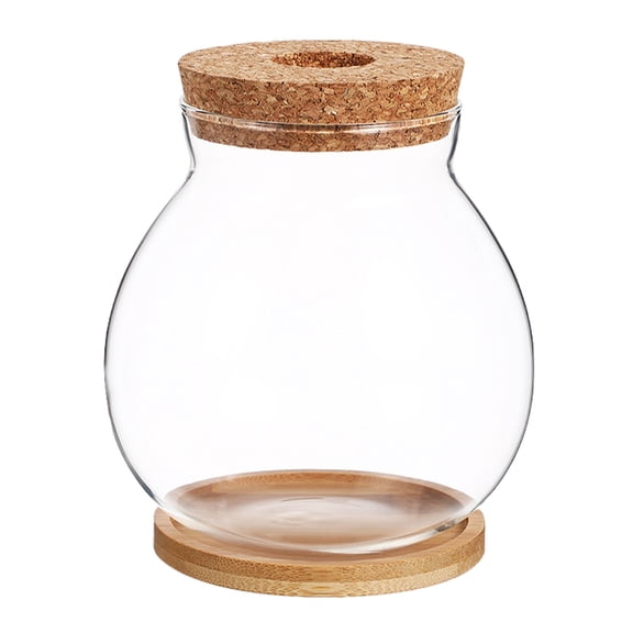 SOPOTUTU Transparent Glass Terrarium Planter for Home Decor, Minimalist Design, Indoor Plant Holder