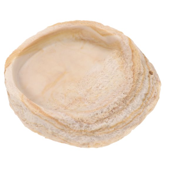 HEMOTON Imitation of Rock Food Pot Gecko Terrarium Pet Animal Animals