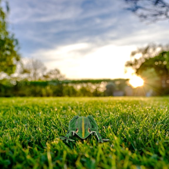 HEMOTON Realistic Frog Statue Outdoor Garden Sculpture Lifelike Frog Figurine for Lawn Yard Patio and Garden Decor