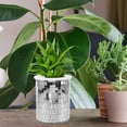 thumbnail image 1 of HEMOTON  Plant Nursery Accessory Disco Planter Makeup Holder Holders for Cosmetics, 1 of 8