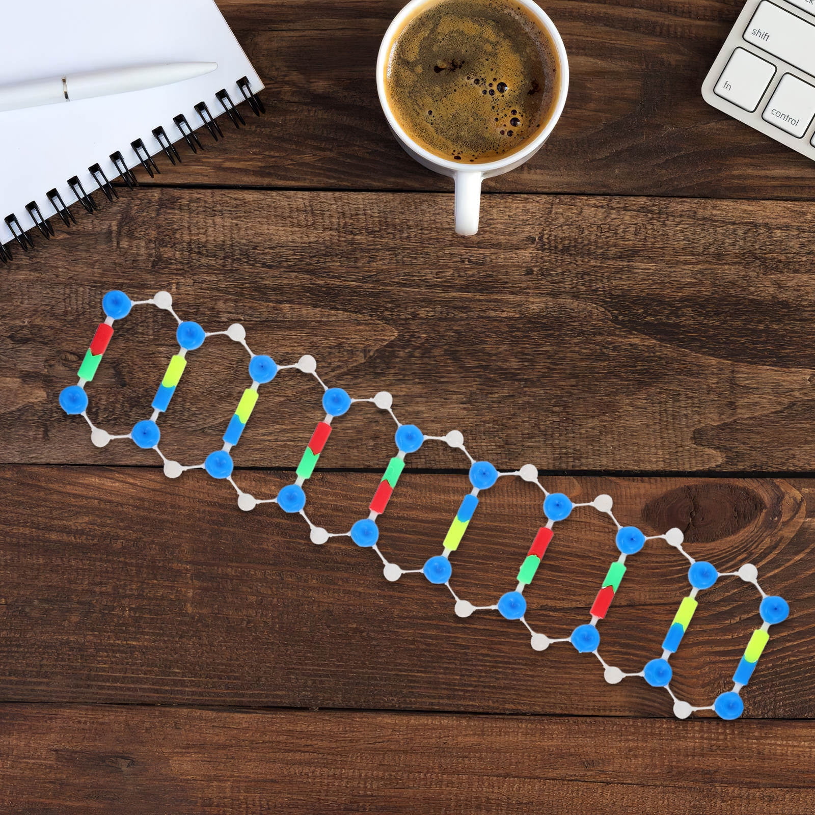 EXBEPE Organic Chemistry Molecular Model Kit - 206 Piece Set For Middle & High School Science Learning