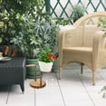 thumbnail image 1 of HEMOTON  Solid Wood Storage Rack Flower Pot Stand Potted Plant Display, 1 of 8