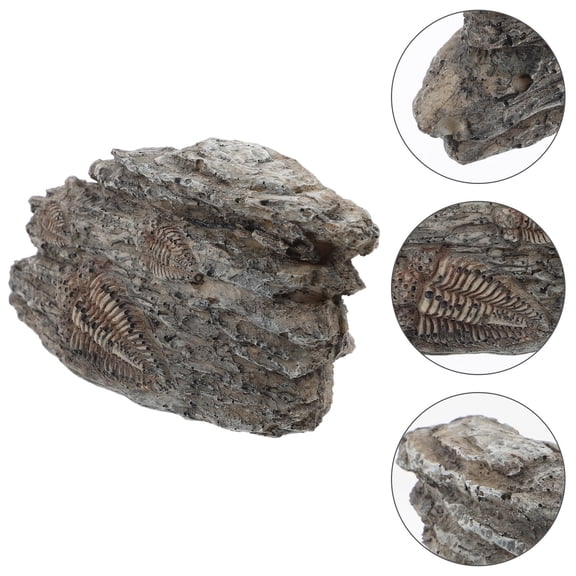 HEMOTON Trilobite Specimen for Decor Made of Resin Grey Color Suitable for Teaching and Collecting 3 inches