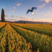 HENGDA KITE Scare Kite Bird Repelling Kite Eagles Kite Guardian Farm and Fields Blue Excluding ground poles