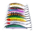 thumbnail image 1 of HENGJIA Fishing Lures Large Hard Bait Minnow VIB Lure with Treble Hook Life-Like Swimbait Fishing Bait Popper Crankbait Sinking Lure for Trout Bass Walleye Redfish, 1 of 19