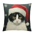 thumbnail image 1 of HENGT  Cat Pillow Covers cat Throw Pillow,Cat Pillow Cases, cat Pillow Cover,Cat Gifts for Cat Lovers,cat Christmas Pillows,Christmas cat Decorations, 1 of 5