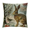 thumbnail image 1 of HENGT Hopyeer Rustic Vintage Animals Throw Pillow Covers Decorative Cute Rabbits Dragonflies Robin Birds Butterfly Classical Pairs Garden Flowers Pillow Cushion Cover, 1 of 5