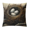 thumbnail image 1 of HENGT  Retro Bird's Nest Oil Painting Decorative Pillow Covers Home Decor Nice Gift Indoor/Outdoor  Square Pillowcase,, 1 of 5