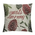thumbnail image 1 of HENGT  Set of Throw Pillow Covers,  Home Decor Square Pillowcase Cushion Cases Decorative Pillow Cases for Accent Couch Sofa Bedroom, Merry Christmas Happy New Year Greeting Winter, 1 of 5