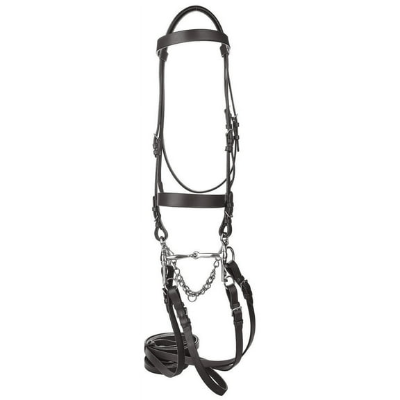 HENRI DE RIVEL POLO BRIDLE WITH DOUBLE REINS