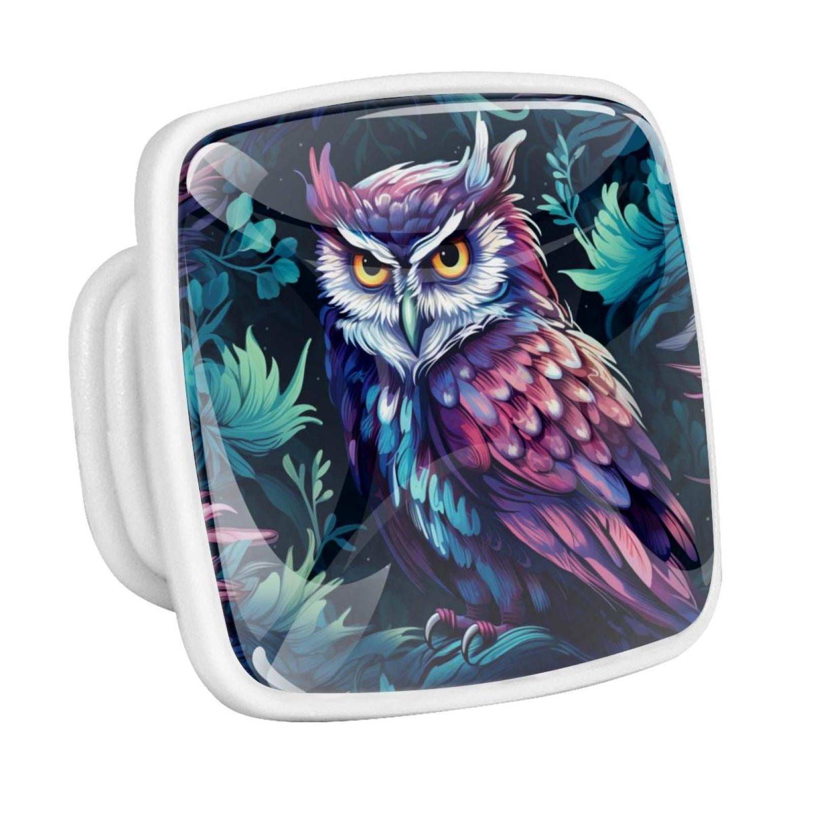 HEOEH 4 Pcs Crystal Glass Knobs, Owl Flowers Art Painting