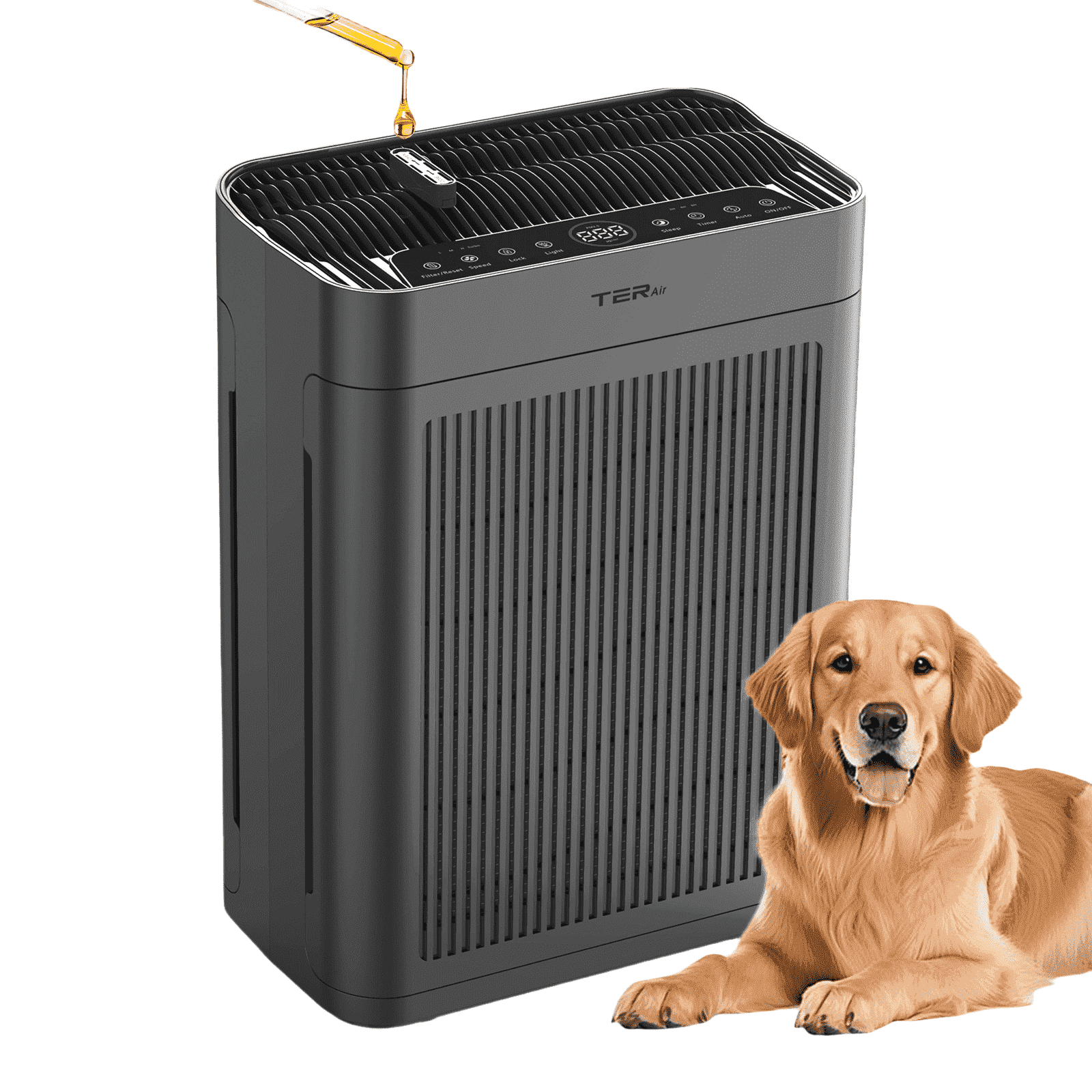 TER Air H13 HEPA Air Purifier for Large Room up to 2500 sq ft with Dual-Sided Intake, PM2.5 Sensor and Washable Filters