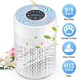 thumbnail image 1 of AIRFIRE Air Purifier for Home up to 975 Sq.ft, HEPA Air Purifiers for Allergies and Asthma Bedroom Pet Wildfire, AP201, 2026 New, 1 of 13