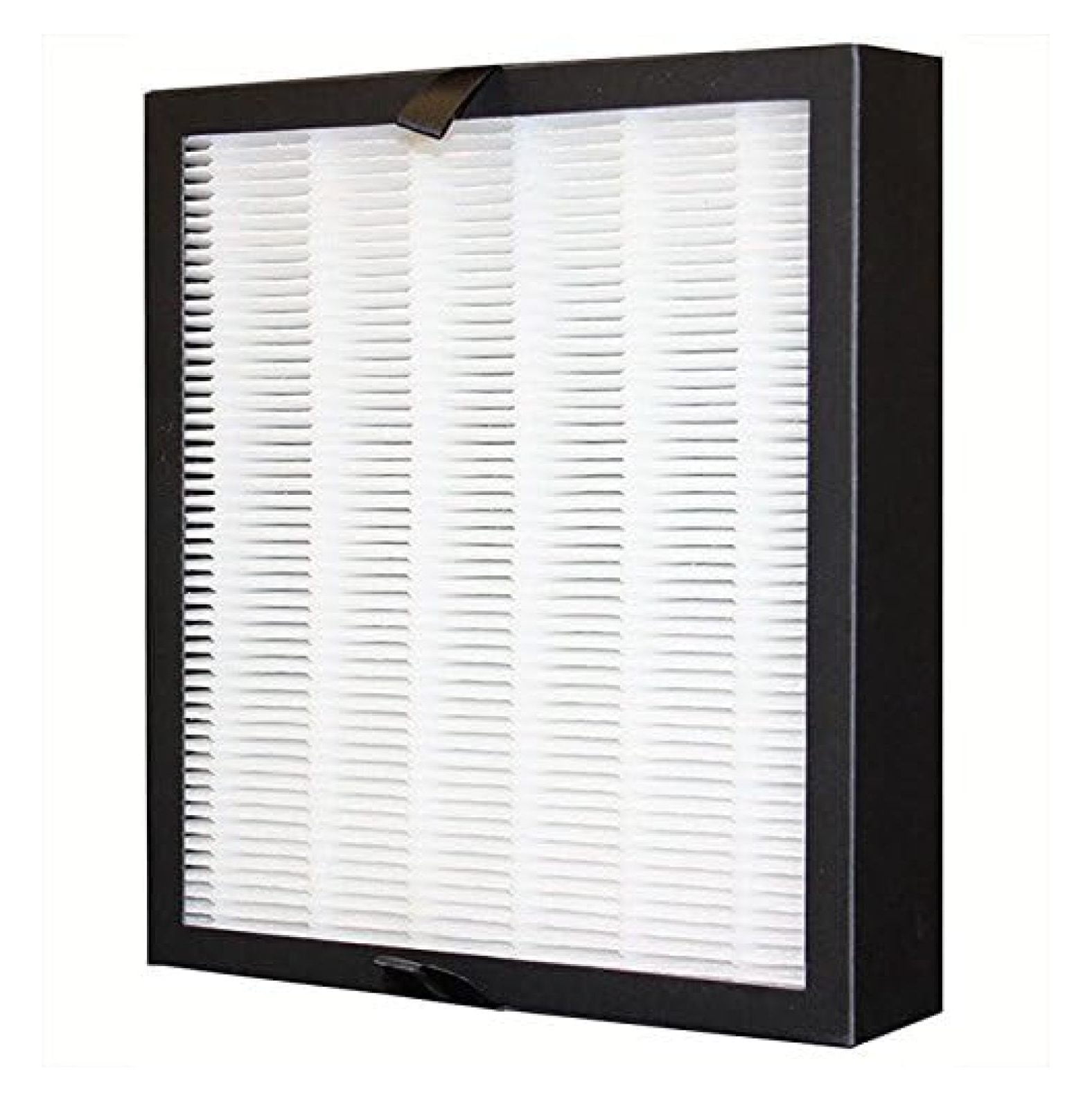 . HEPA Carbon Filter for Mammoth 1000 7 Stage Air Purifier