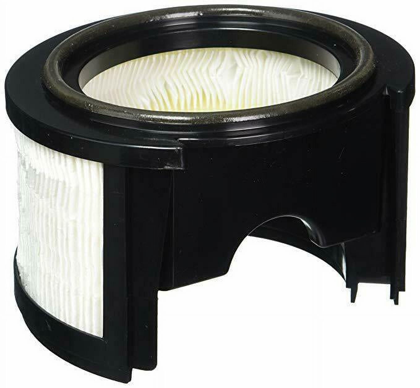 Royal Dirt Devil HEPA Filter