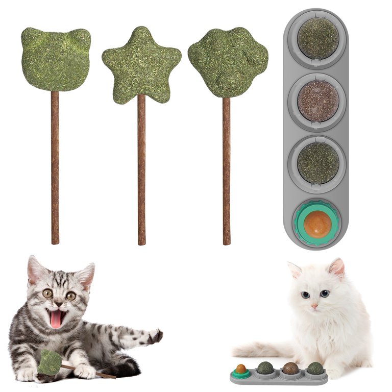 Cat lollipop outlet treat