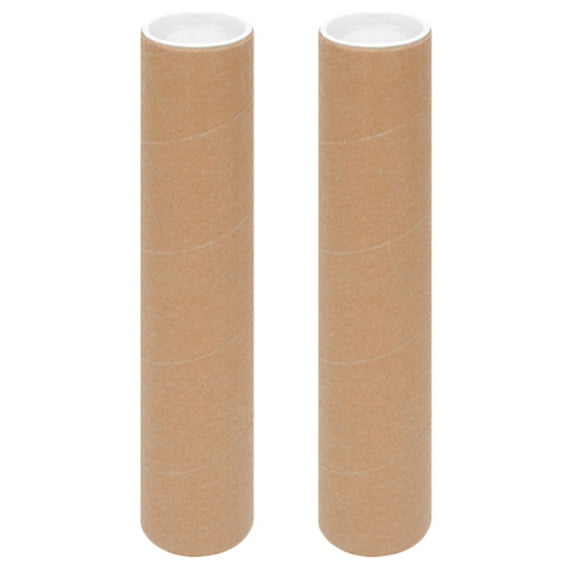 GETAJGHSD Poster Tube Carrier 2Pcs 11.8In x 3.1In x 3.1In