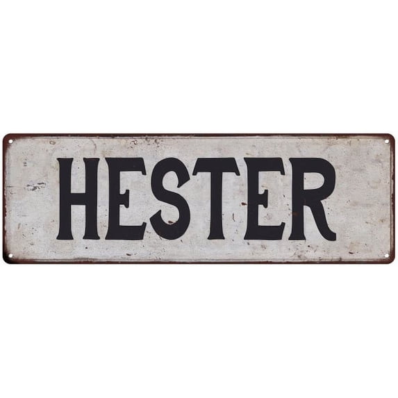 HESTER Vintage Look Rustic Chic Metal Sign 8x24 108240036591