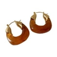 thumbnail image 1 of HEVIRGO 1 Pair Resin Earrings All-match Decorative Glossy Retro Stud Hook Hoop Earrings for Wedding Resin Brown, 1 of 8