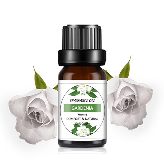 HEVIRGO 10PCS/1set 10ml Aromatic Essence Oil Dropper Design Long Lasting Fragrance Water-soluble Oil Air Plant Extract Rose Lavender Essential Oil Humidifier