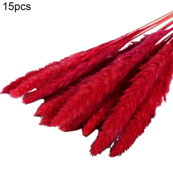 HEVIRGO 15Pcs/Bundle Small Pampas Grass Ornamental Desktop Decor Dried Flower Birthday Party Artificial Reed Bouquet for Garden(Red )