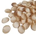 thumbnail image 1 of HEVIRGO 400PCS Artificial Petal Realistic Exquisite Romantic Fake Rose Petal Photography Props Party Supplies,Champagne, 1 of 8