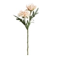 thumbnail image 1 of HEVIRGO 7PCS Artificial Flower Chrysanthemum Garden Party Home Wedding Festival DIY Decor,Light Champagne, 1 of 8
