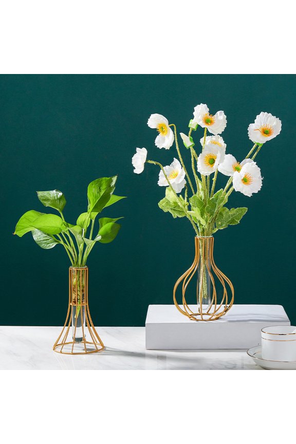 Glass Vase Transparent Nordic Style Test Tube Bottle Wrought Iron Terrarium Flower Vase for Garden