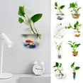 thumbnail image 1 of HEVIRGO Hydroponic Vase Flower Water Drop Heart Shape Transparent Wall Hanging Glass Flower Vase Terrarium Wall Fish Tank Aquarium Container Home Decor, 1 of 8