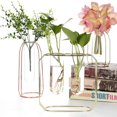 thumbnail image 1 of HEVIRGO Nordic Metal Stand Test Tube Vase Plant Flower Pot Hydroponic Planter Home Decor, 1 of 8