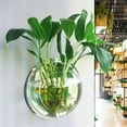 thumbnail image 1 of HEVIRGO Wall Mounted Fish Tank, Acrylic Wall-Hanging Fish Bowl, 8-inches Creative Plant Pot Flower Vase, 1 of 11