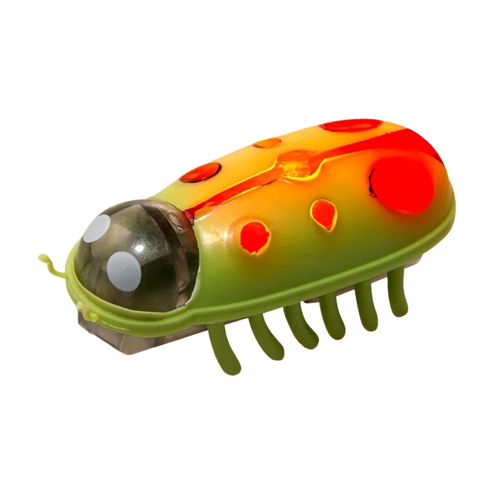 HEWANG Cat Electric Bug Toy,Pet Mini Cute Toy Battery Operated Toys,Cat Funny Interactive Toys,Unleash Nature,Anxiety Relief,Moving for Indoor Cats Chasing,Playing,Entertainment,Training (D)