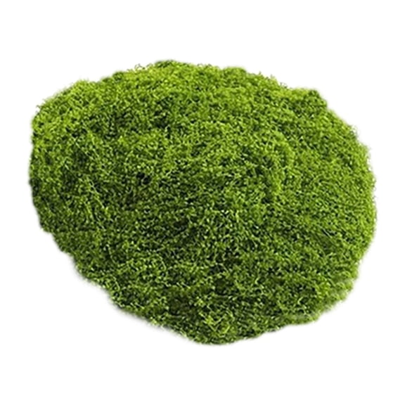 HEXBOOYOO 2025 New Arrival Artificial Moss for Planters Moss Decor for Potted Plants Centerpieces Fresh Green Moss for Crafts Planter Filler for Plants Floral Mini Garden Grass for Arts Wedding 30g