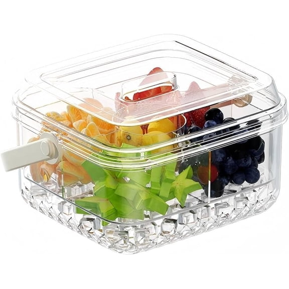 HEYMKGO Portable Snack Container with Ice Pack Layer & Locking Lid - 4 Compartment Leak-Proof Serving Tray for Fruits, Veggies, Dip, Party, Picnic, Camping, Office - Chilled Appetizer Dish for On-The
