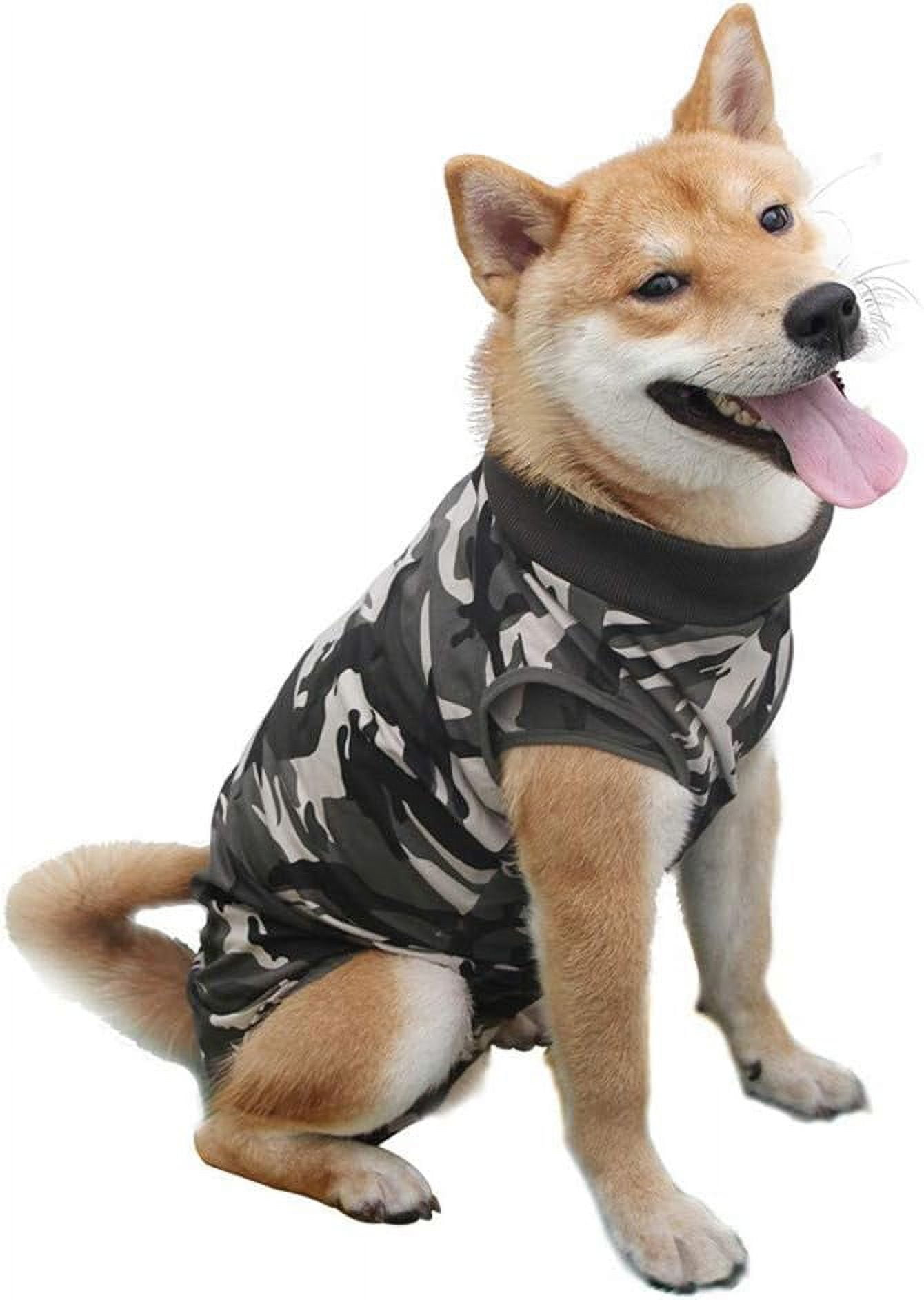HEYWEAN Dog Surgical Recovery Suit Keep Dog from Licking E-Collar ... - Dog Enclosure Stand For Post Surgery Care