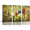 thumbnail image 1 of HFDF 3 Panels Parrot Wall Art: Tropical Rain Forest Animal Picture Canvas Print Painting For Living Room Wall Decor Beautiful Bird Poster Farmhouse Modern Home Decorations 12x16inch Framed, 1 of 7