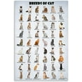 thumbnail image 1 of HFDF Breeds of Cat Poster Types of Cat Poster Cat of The World Funny Cat Lovers Poster 20x24inch Framed, 1 of 6