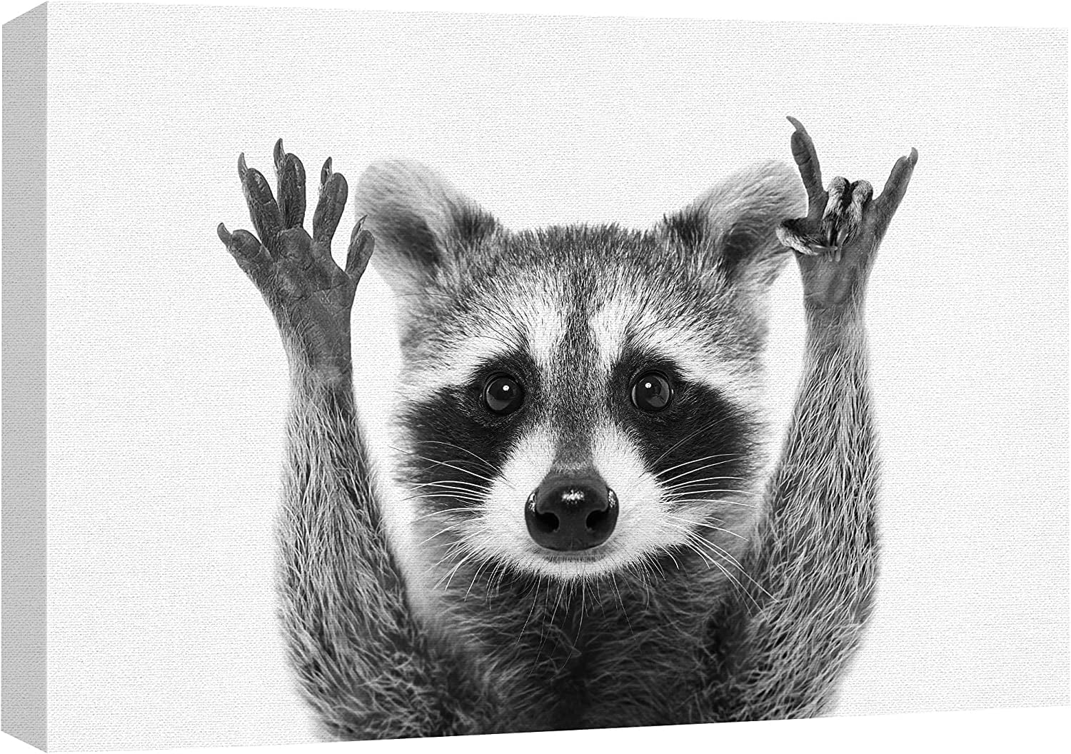HFDF Canvas Print Wall Art Raccoon Closeup Portrait Animals Wildlife ...