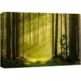 thumbnail image 1 of HFDF Canvas Print Wall Art Springtime Summer Sunlight Green Forest Nature Wilderness Photography Realism Earth Scenery Rustic Scenic Landscape Colorful for Living Room, Bedroom, 16x12inch Framed, 1 of 5
