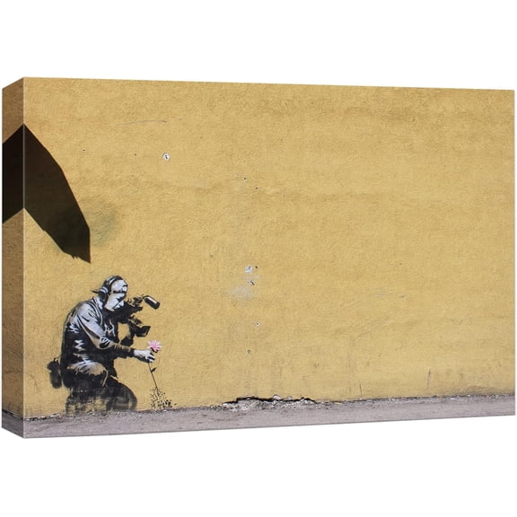 HFDF Canvas Prt Wall Art Banksy Camera Mean Pulls Pk Flower Graffiti & Street Art Pop Culture Illustrations Pop Art Bohemian Multicolor Dark for Livg Room, Bedroom, Office - 24x20inch Framed