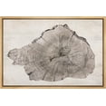 thumbnail image 1 of HFDF Canvas Prt Wall Art Close Up Detail Wood Tree Rg Log Nature Wilderness Digital Art Realism Decorative Rustic Relax/Calm for Livg Room, Bedroom, Office - Natural 16x12inch Framed, 1 of 5