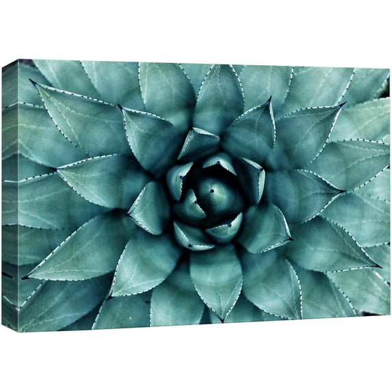 HFDF Canvas Prt Wall Art Closeup of Teal Rose Succulent Floral Plants Photography Realism Rustic Scenic Colorful Ultra for Livg Room, Bedroom, Office - 24x20inch Framed