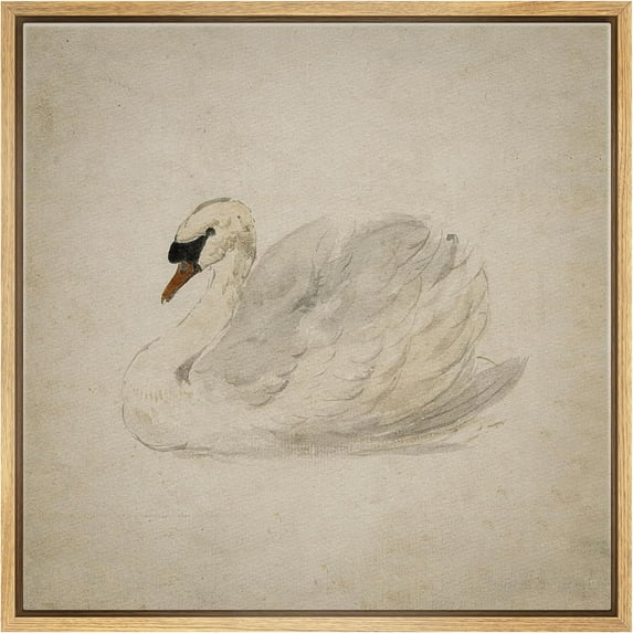 HFDF Canvas Prt Wall Art Elegant Swan Sketch Mimalist Waterfowl Drawg Nature Wilderness Illustrations Rustic Zen Colorful for Livg Room, Bedroom, Office - Natural 16x12inch Framed