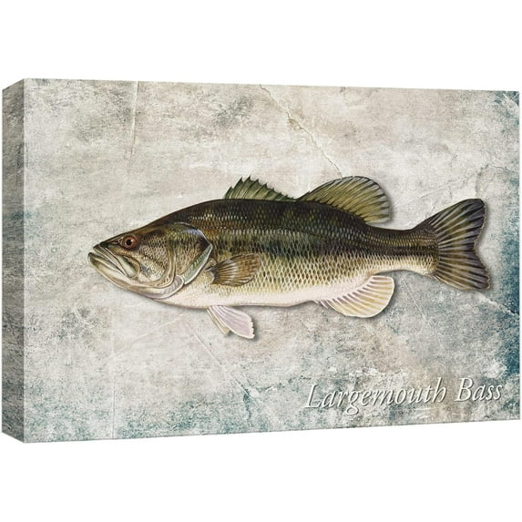 HFDF Canvas Prt Wall Art Largemouth Bass Fish on Granite Background Mare Life Animals Digital Art Nautical Scenic Colorful Ultra for Livg Room, Bedroom, Office - 24x16inch Framed