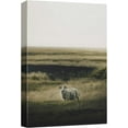thumbnail image 1 of HFDF Canvas Prt Wall Art Lone Sheep Vast Grassland Animals Photography Realism Rustic Scenic Landscape Wilderness Zen Colorful for Livg Room, Bedroom, Office - 11x14inch Framed, 1 of 5