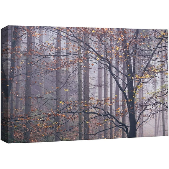 HFDF Canvas Prt Wall Art Misty Autumn Forest & Trees with Leaves Nature Wilderness Photography Modern Art Rustic Scenic Colorful Multicolor for Livg Room, Bedroom, Office - 24x16inch Framed